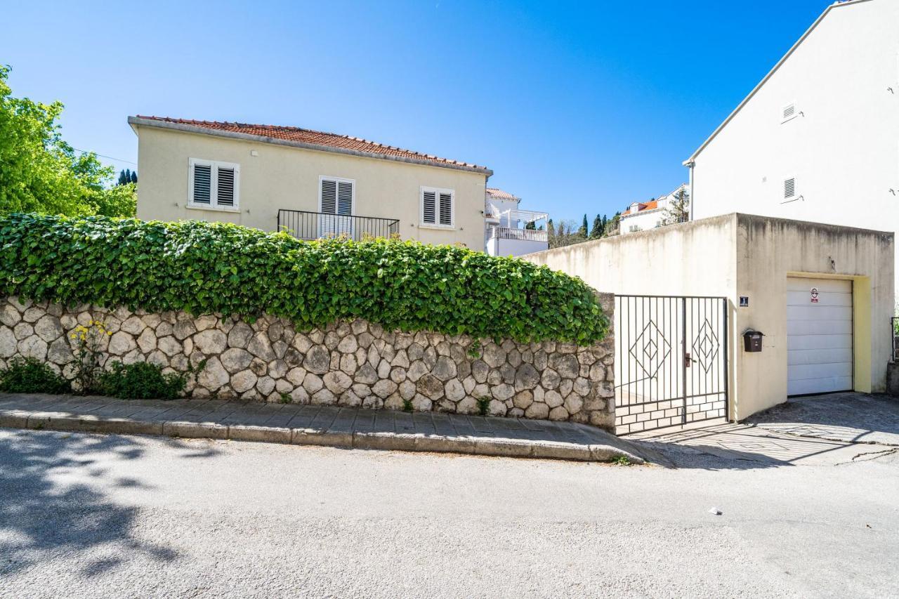 Kos Dubrovník